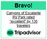 TripAdvisor 